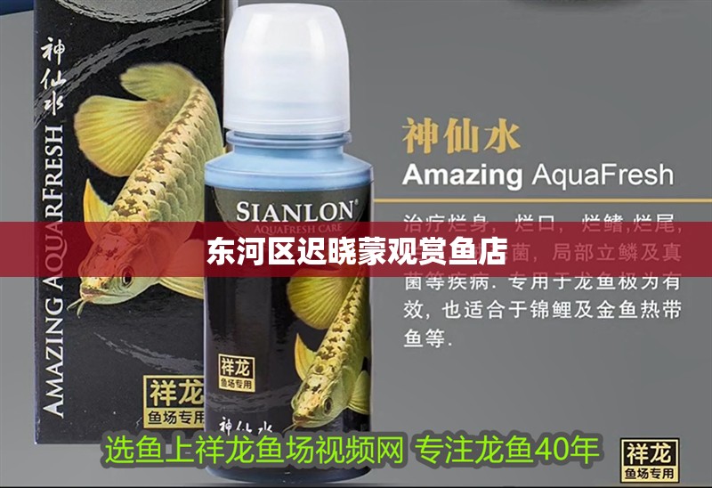 東河區遲曉蒙觀賞魚店