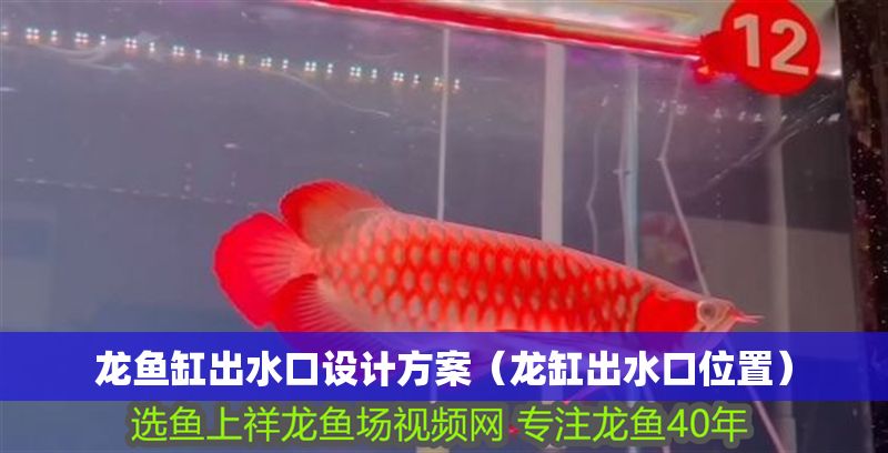 龍魚缸出水口設計方案（龍缸出水口位置）