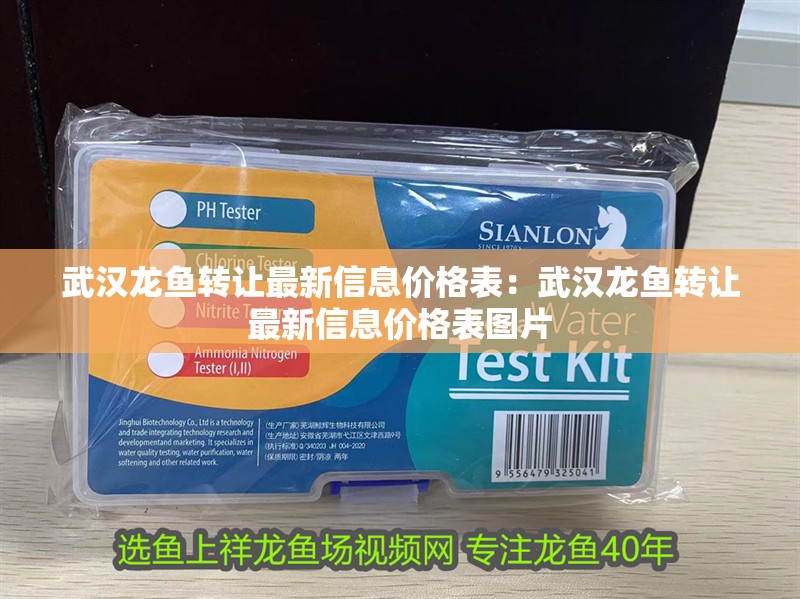 武漢龍魚轉讓最新信息價格表：武漢龍魚轉讓最新信息價格表圖片