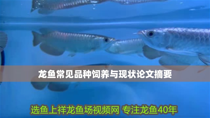 龍魚常見品種飼養與現狀論文摘要