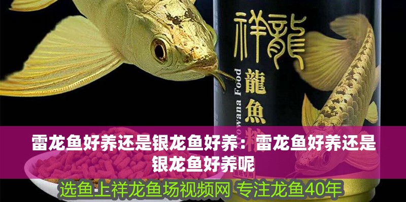 森森小鯉過濾桶噪音怎么制 森森小鯉過濾桶噪音怎么制 森森魚缸