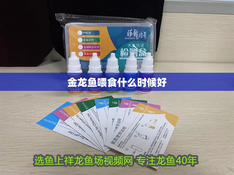 金龍魚喂食什么時候好 金龍魚喂食什么時候好 龍魚百科 第2張