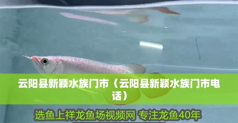云陽縣新穎水族門市（云陽縣新穎水族門市電話）