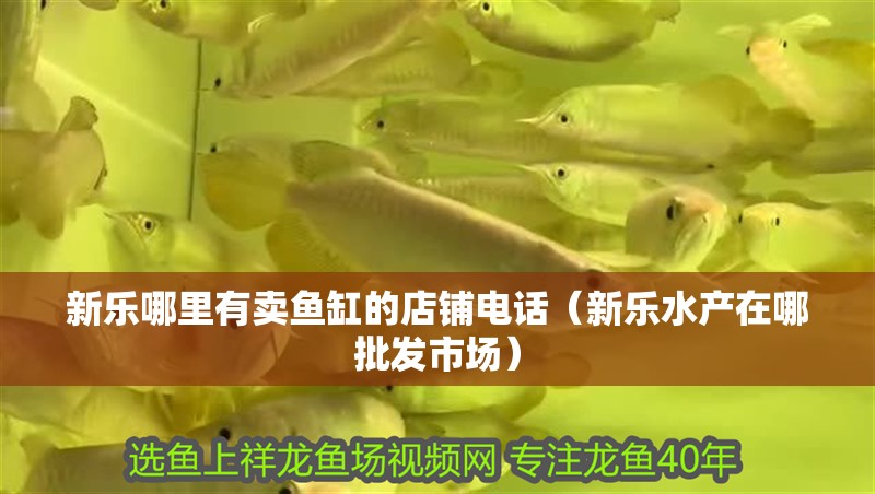 新樂哪里有賣魚缸的店鋪電話(新樂水產(chǎn)在哪批發(fā)市場) 全國水族館企業(yè)名錄 第1張 新樂哪里有賣魚缸的店鋪電話(新樂水產(chǎn)在哪批發(fā)市場) 新樂哪里有賣魚缸的店鋪電話(新樂水產(chǎn)在哪批發(fā)市場) 全國水族館企業(yè)名錄 第1張