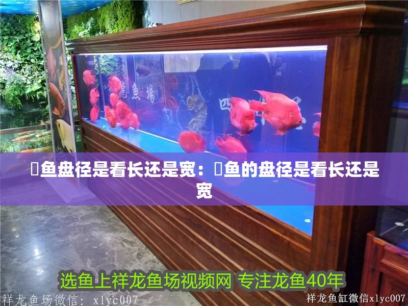 魟魚盤徑是看長還是寬:魟魚的盤徑是看長還是寬 魟魚百科 第2張 魟魚盤徑是看長還是寬:魟魚的盤徑是看長還是寬 魟魚盤徑是看長還是寬:魟魚的盤徑是看長還是寬 魟魚百科 第2張