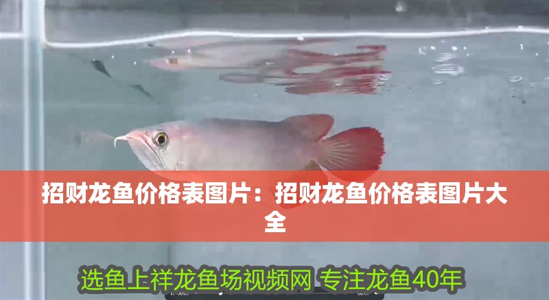招財龍魚價格表圖片：招財龍魚價格表圖片大全