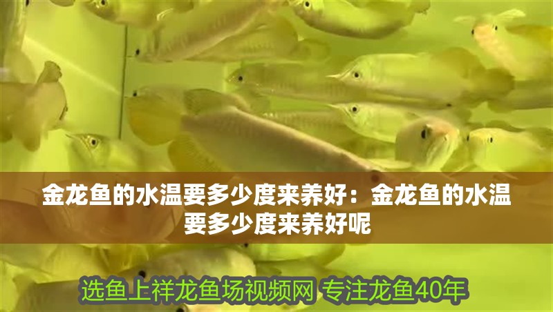 大型魚(yú)缸清理視頻:大型魚(yú)缸清洗技巧 魚(yú)缸百科 大型魚(yú)缸清理視頻:大型魚(yú)缸清洗技巧 大型魚(yú)缸清理視頻:大型魚(yú)缸清洗技巧 魚(yú)缸百科