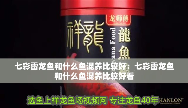 七彩雷龍魚和什么魚混養(yǎng)比較好：七彩雷龍魚和什么魚混養(yǎng)比較好看