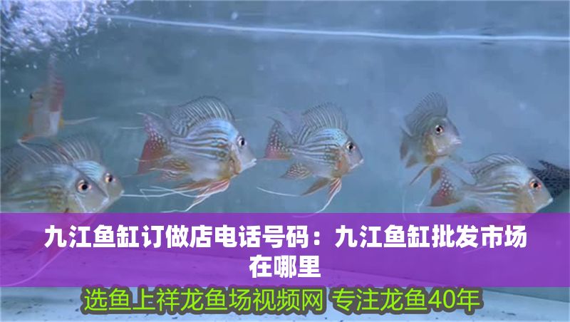 九江魚缸訂做店電話號碼：九江魚缸批發(fā)市場在哪里 九江魚缸訂做店電話號碼：九江魚缸批發(fā)市場在哪里 魚缸百科 第1張
