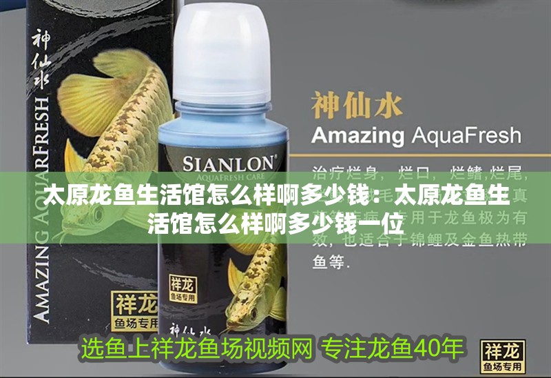 太原龍魚生活館怎么樣啊多少錢：太原龍魚生活館怎么樣啊多少錢一位