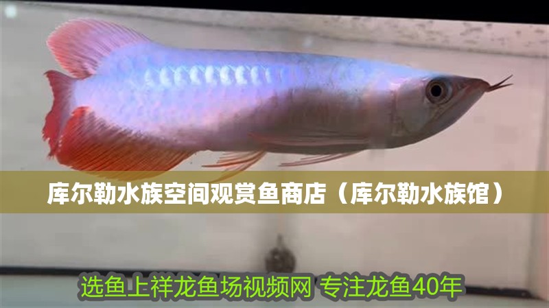 庫爾勒水族空間觀賞魚商店（庫爾勒水族館）