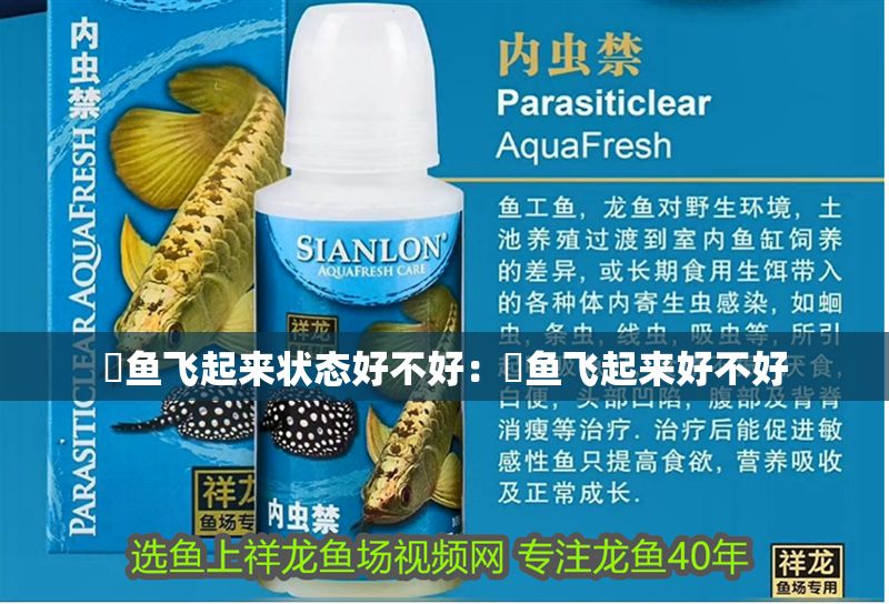 魟魚飛起來狀態好不好：魟魚飛起來好不好