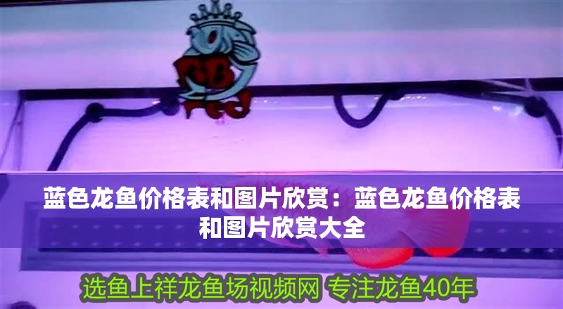 藍色龍魚價格表和圖片欣賞：藍色龍魚價格表和圖片欣賞大全