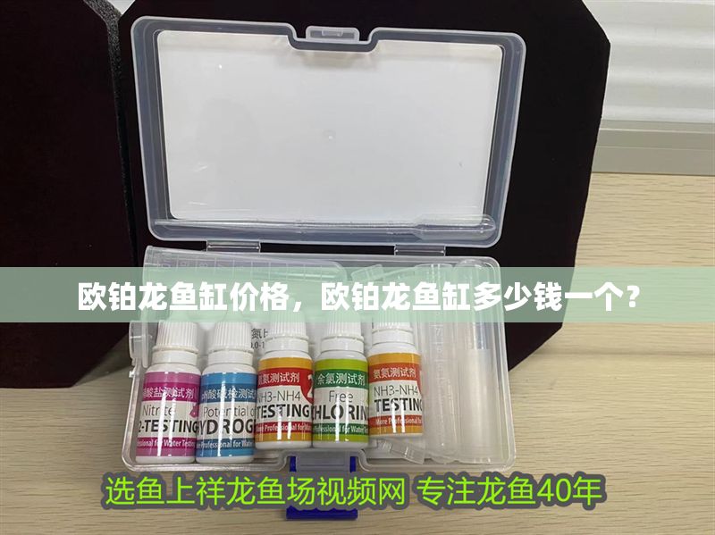 歐鉑龍魚缸價(jià)格，歐鉑龍魚缸多少錢一個(gè)？
