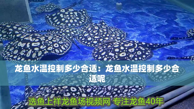 龍魚水溫控制多少合適：龍魚水溫控制多少合適呢