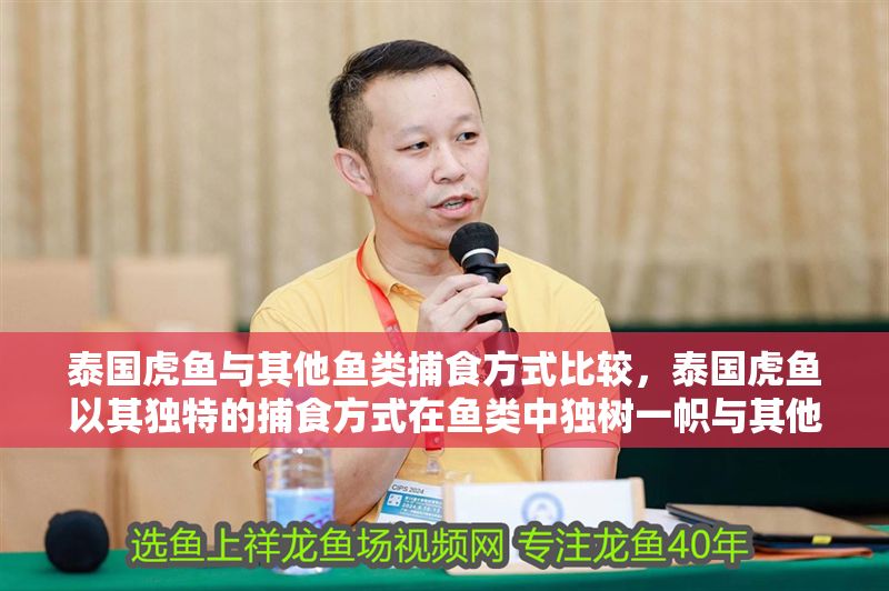 泰國虎魚與其他魚類捕食方式比較，泰國虎魚以其獨特的捕食方式在魚類中獨樹一幟與其他魚類相比