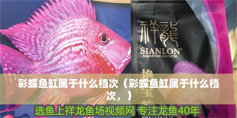 彩蝶魚缸屬于什么檔次（彩蝶魚缸屬于什么檔次，）