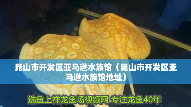 昆山市開發(fā)區(qū)亞馬遜水族館（昆山市開發(fā)區(qū)亞馬遜水族館地址）