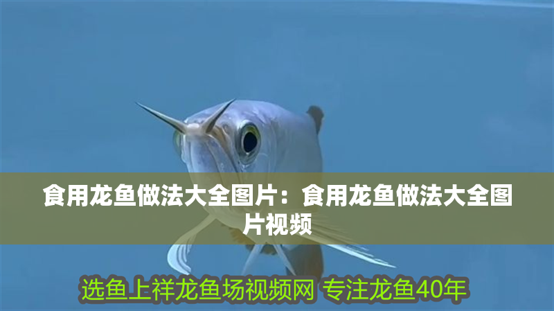 食用龍魚做法大全圖片:食用龍魚做法大全圖片視頻 水族問答 食用龍魚做法大全圖片:食用龍魚做法大全圖片視頻 食用龍魚做法大全圖片:食用龍魚做法大全圖片視頻 水族問答