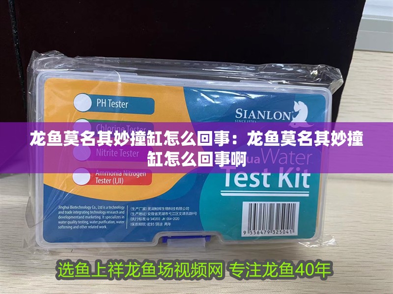 龍魚莫名其妙撞缸怎么回事：龍魚莫名其妙撞缸怎么回事啊