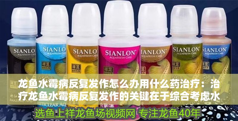 龍魚水霉病反復發作怎么辦用什么藥治療：治療龍魚水霉病反復發作的關鍵在于綜合考慮水質管理、治療方法