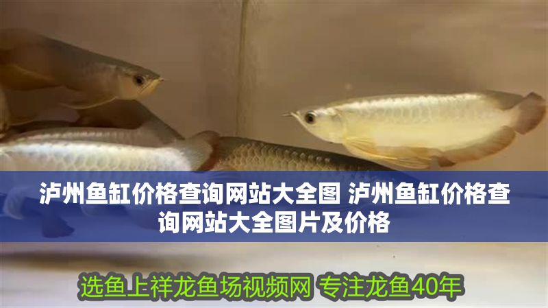 瀘州魚缸價格查詢網(wǎng)站大全圖 瀘州魚缸價格查詢網(wǎng)站大全圖片及價格