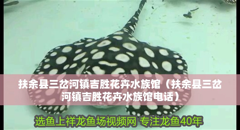 扶余縣三岔河鎮吉勝花卉水族館（扶余縣三岔河鎮吉勝花卉水族館電話）