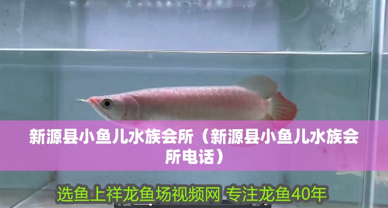 新源縣小魚兒水族會所(新源縣小魚兒水族會所電話) 全國水族館企業(yè)名錄 第1張 新源縣小魚兒水族會所(新源縣小魚兒水族會所電話) 新源縣小魚兒水族會所(新源縣小魚兒水族會所電話) 全國水族館企業(yè)名錄 第1張