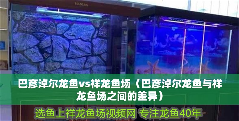 巴彥淖爾龍魚vs祥龍魚場（巴彥淖爾龍魚與祥龍魚場之間的差異）