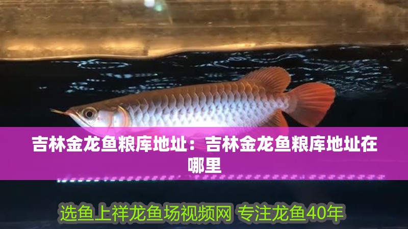 吉林金龍魚糧庫地址：吉林金龍魚糧庫地址在哪里
