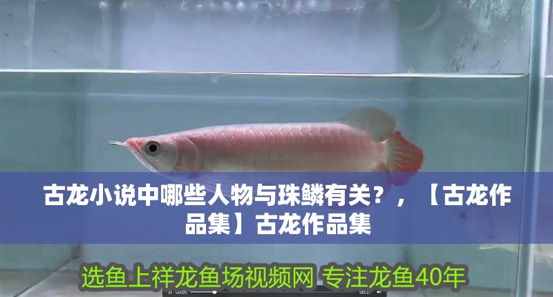 古龍小說中哪些人物與珠鱗有關？，【古龍作品集】古龍作品集