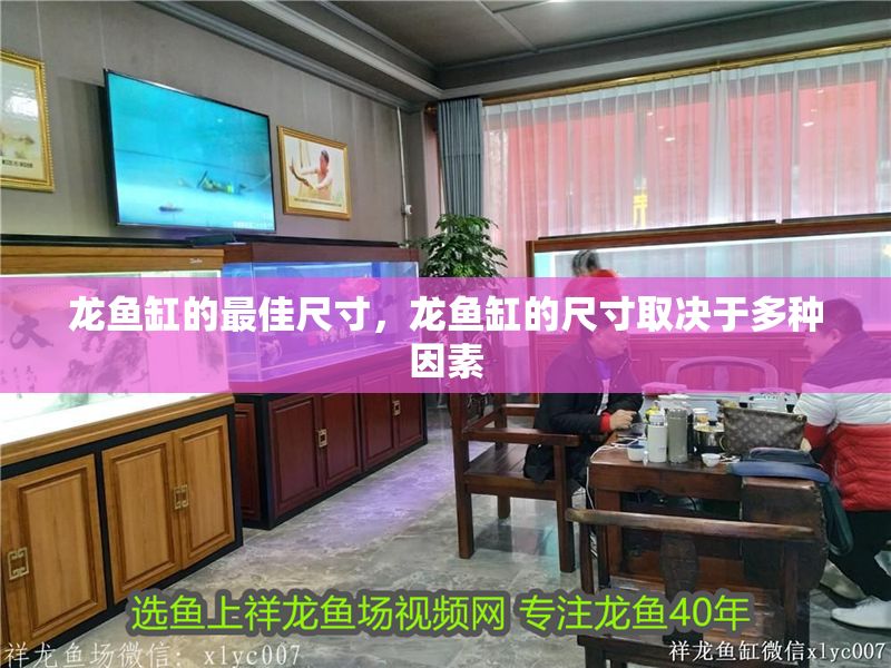 龍魚缸的最佳尺寸，龍魚缸的尺寸取決于多種因素