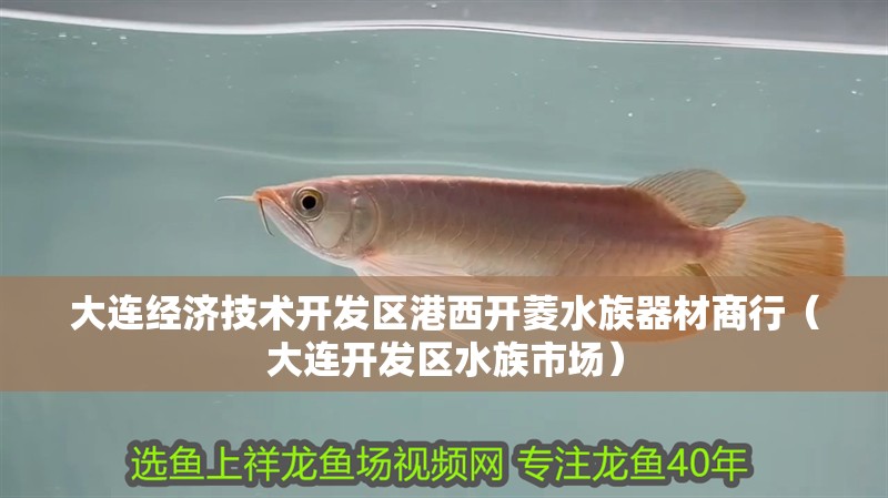 大連經(jīng)濟技術(shù)開發(fā)區(qū)港西開菱水族器材商行（大連開發(fā)區(qū)水族市場）