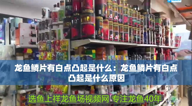 龍魚鱗片有白點(diǎn)凸起是什么：龍魚鱗片有白點(diǎn)凸起是什么原因 龍魚鱗片有白點(diǎn)凸起是什么：龍魚鱗片有白點(diǎn)凸起是什么原因 水族問答