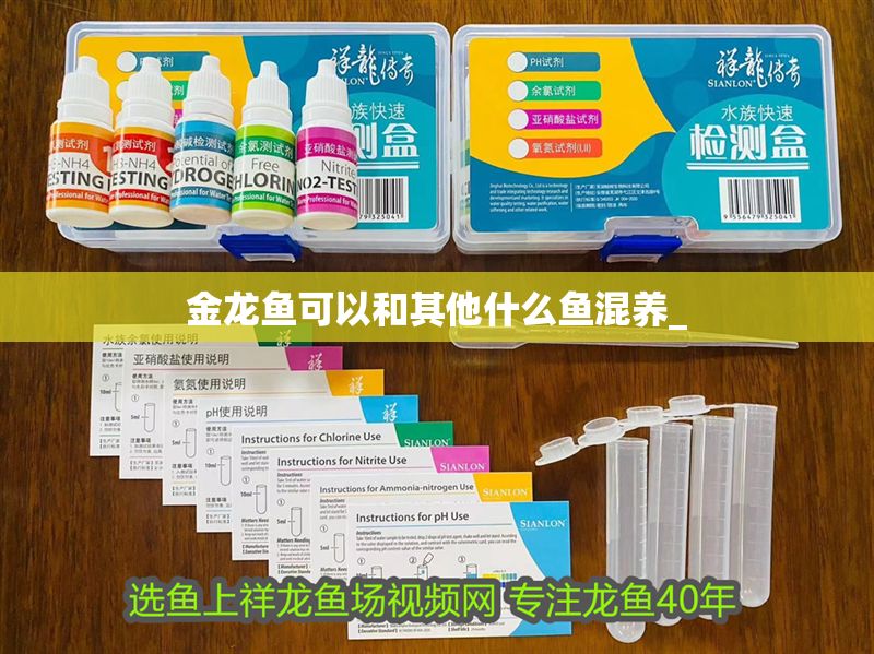 金龍魚可以和其他什么魚混養_