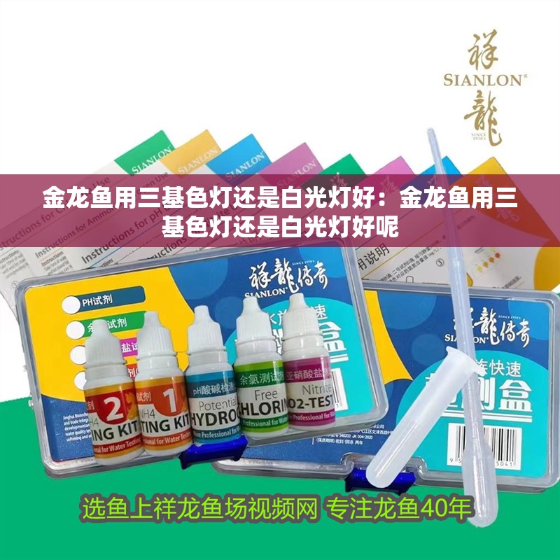 金龍魚用三基色燈還是白光燈好：金龍魚用三基色燈還是白光燈好呢