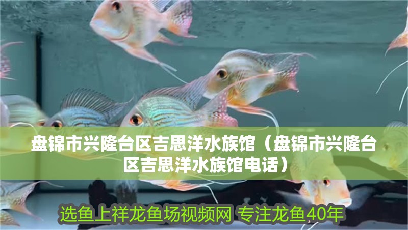 盤錦市興隆臺區吉思洋水族館（盤錦市興隆臺區吉思洋水族館電話）