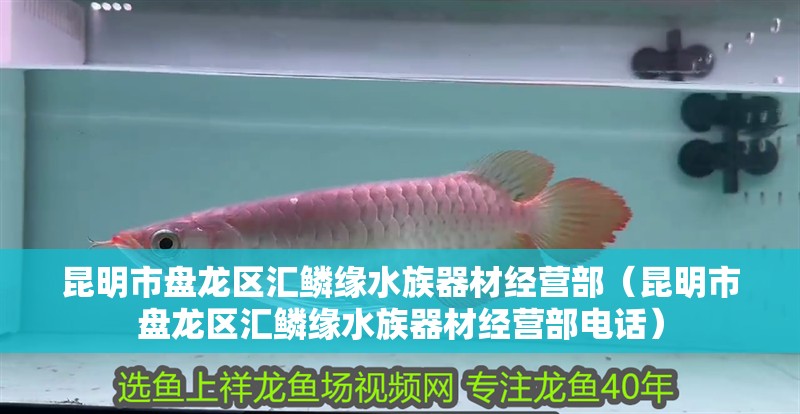 昆明市盤龍區匯鱗緣水族器材經營部（昆明市盤龍區匯鱗緣水族器材經營部電話）