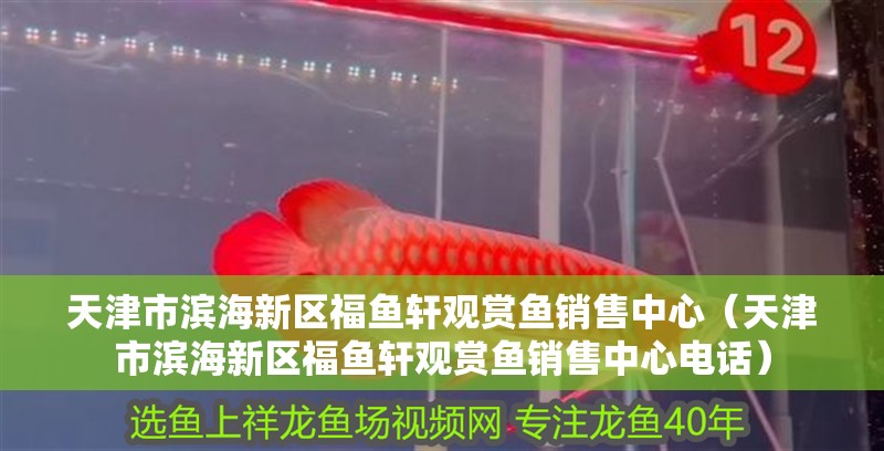 天津市濱海新區福魚軒觀賞魚銷售中心(天津市濱海新區福魚軒觀賞魚銷售中心電話) 全國水族館企業名錄 第2張 天津市濱海新區福魚軒觀賞魚銷售中心(天津市濱海新區福魚軒觀賞魚銷售中心電話) 天津市濱海新區福魚軒觀賞魚銷售中心(天津市濱海新區福魚軒觀賞魚銷售中心電話) 全國水族館企業名錄 第2張