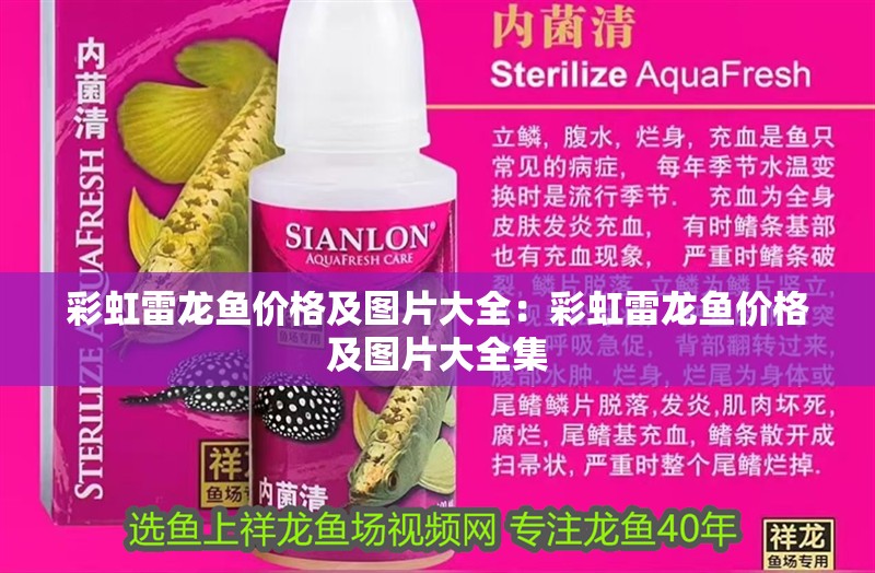 彩虹雷龍魚價格及圖片大全：彩虹雷龍魚價格及圖片大全集