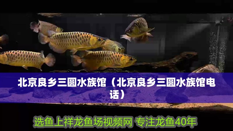 北京良鄉(xiāng)三圓水族館（北京良鄉(xiāng)三圓水族館電話）