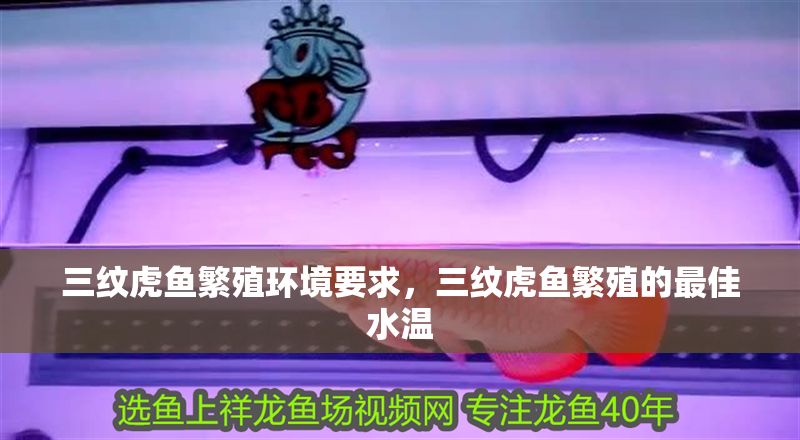 三紋虎魚繁殖環(huán)境要求，三紋虎魚繁殖的最佳水溫