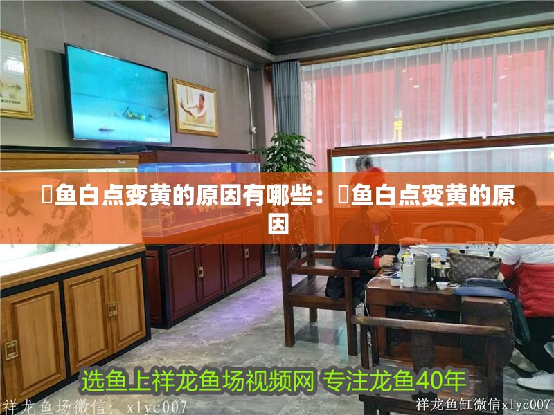 魟魚白點變黃的原因有哪些：魟魚白點變黃的原因
