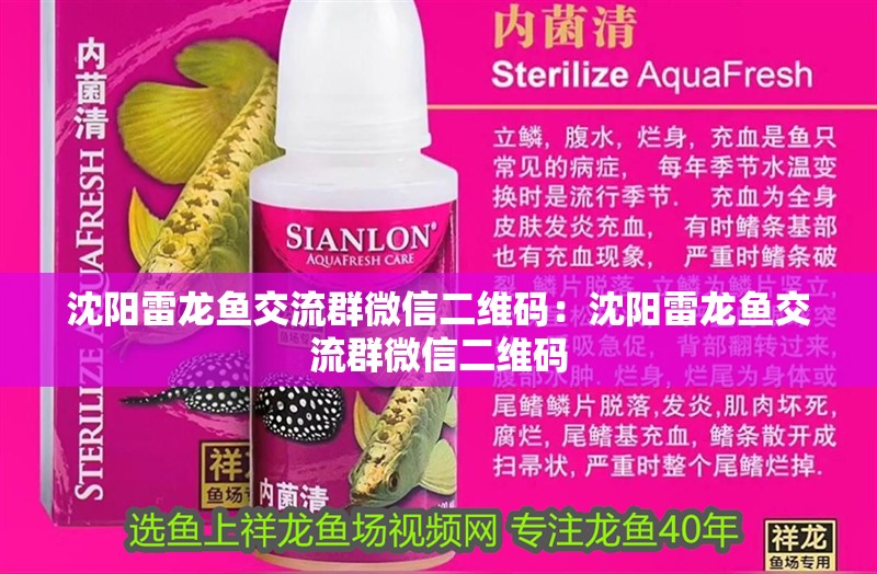 沈陽雷龍魚交流群微信二維碼：沈陽雷龍魚交流群微信二維碼