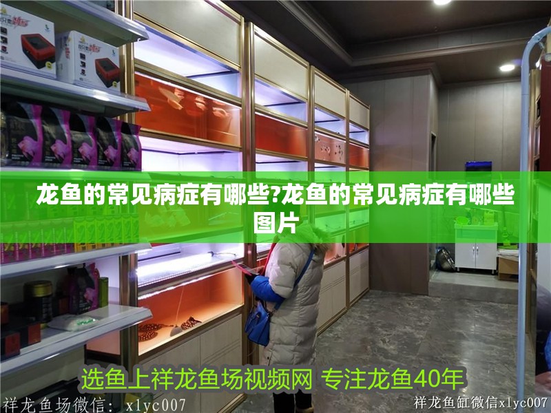 泉州龍魚(yú)vs祥龍魚(yú)場(chǎng)（探討泉州龍魚(yú)與祥龍魚(yú)場(chǎng)之間的差異時(shí)，我們需要明確各自的背景和特點(diǎn)）