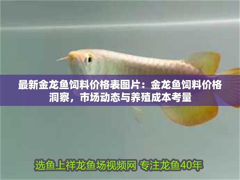 最新金龍魚飼料價格表圖片：金龍魚飼料價格洞察，市場動態(tài)與養(yǎng)殖成本考量