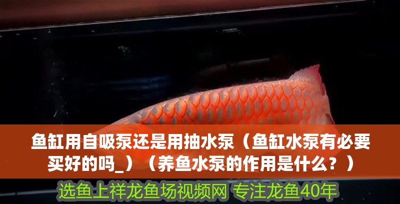 魚缸用自吸泵還是用抽水泵（魚缸水泵有必要買好的嗎_）（養魚水泵的作用是什么？）