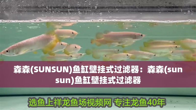 森森(SUNSUN)魚缸壁掛式過濾器：森森(sunsun)魚缸壁掛式過濾器 森森(SUNSUN)魚缸壁掛式過濾器：森森(sunsun)魚缸壁掛式過濾器 魚缸百科