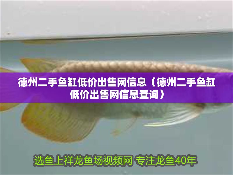 德州二手魚缸低價出售網信息（德州二手魚缸低價出售網信息查詢）