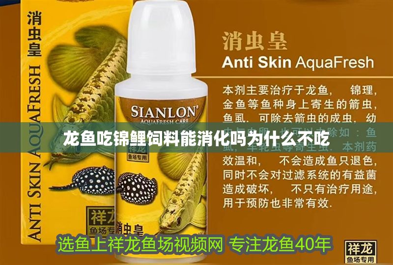 龍魚吃錦鯉飼料能消化嗎為什么不吃